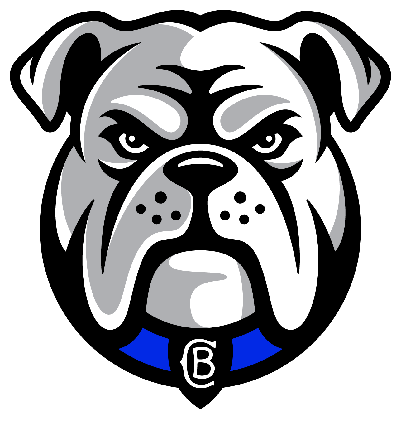 Canterbury-Bankstown Bulldogs